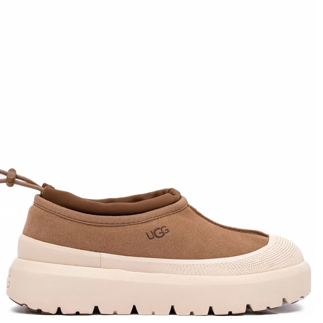 Chestnut