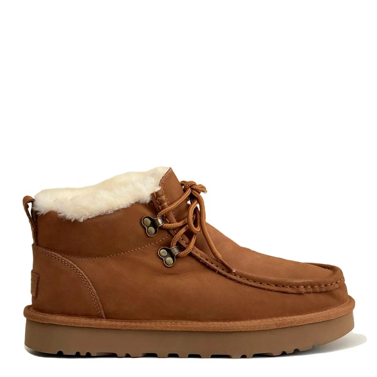 Chestnut